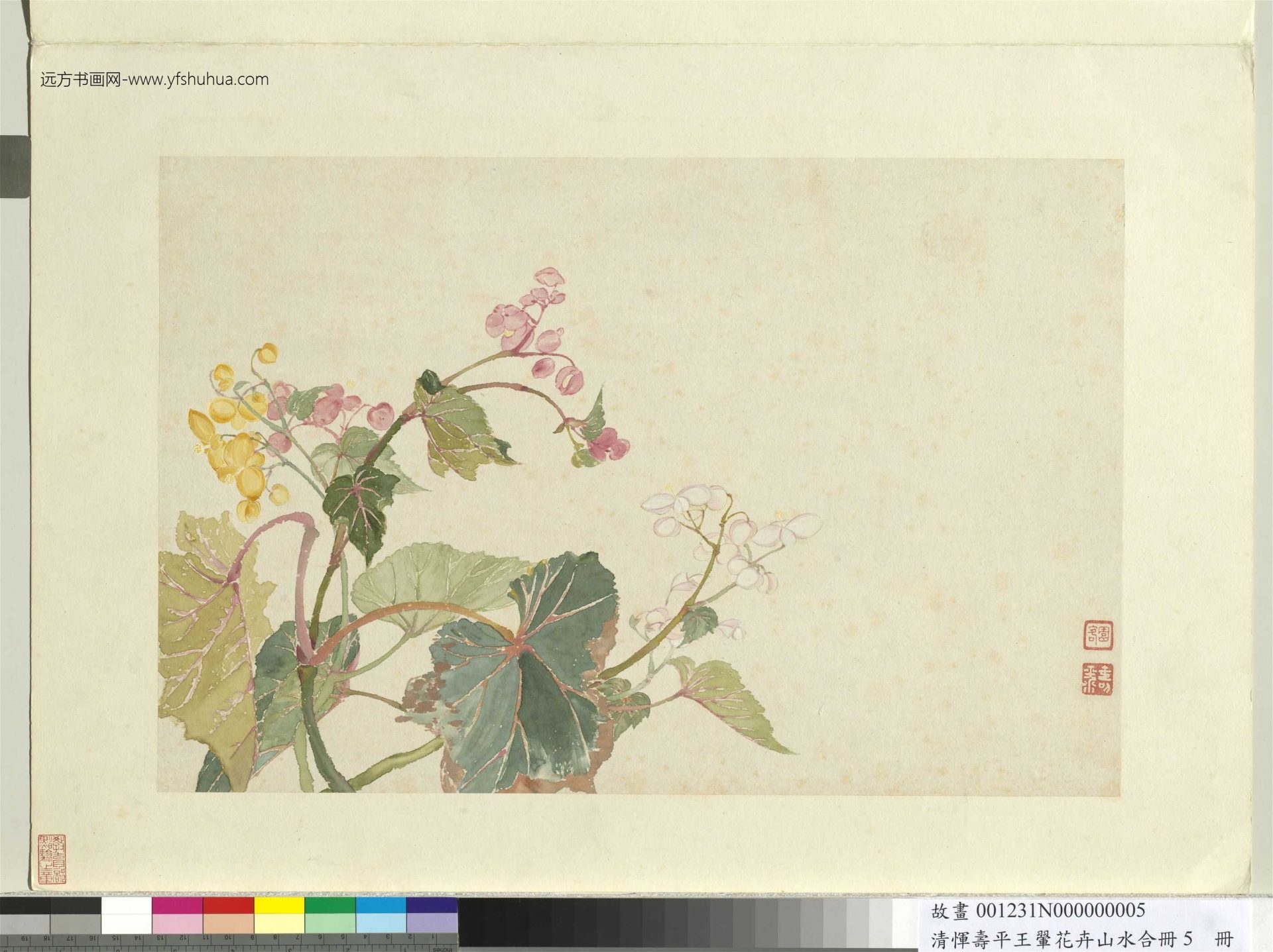 清_恽寿平_花卉山水合册　_4